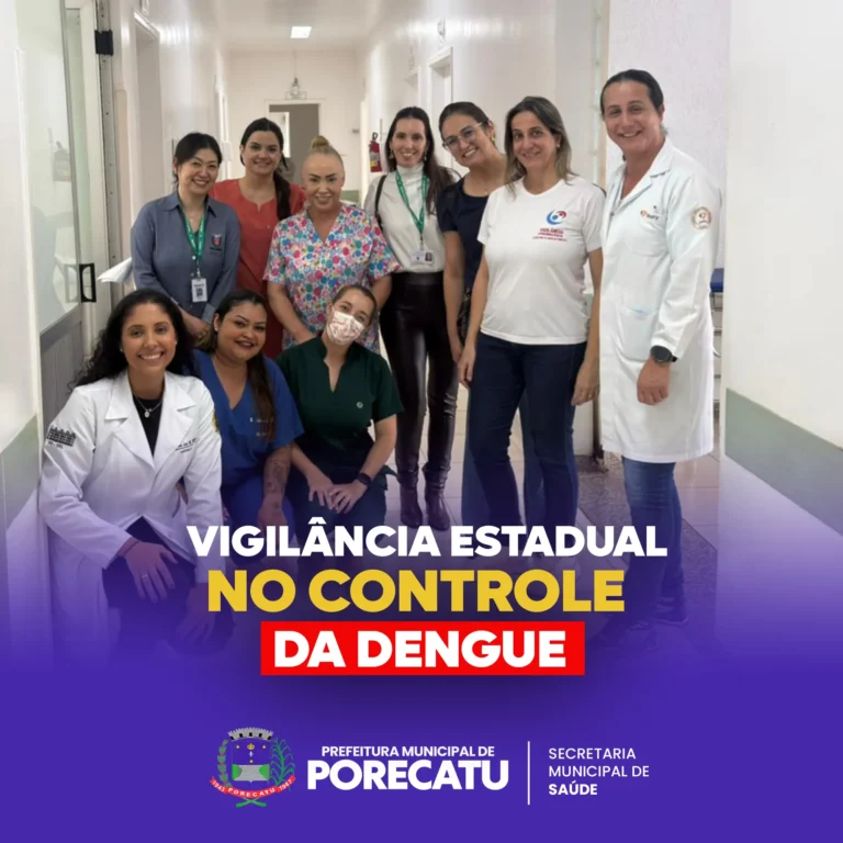 Vigilância Estadual no Controle da Dengue